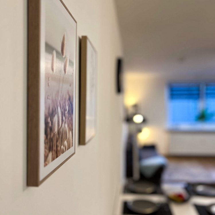 WhatsApp Image 2025-03-02 at 20.31.19